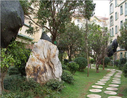 體育城一期景觀(guān)施工實(shí)景-景觀(guān)施工